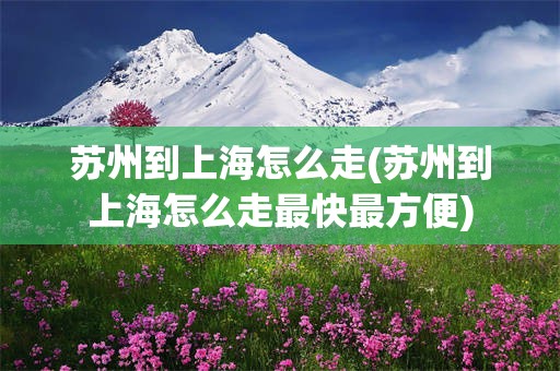 苏州到上海怎么走(苏州到上海怎么走最快最方便)