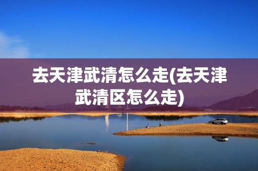 去天津武清怎么走(去天津武清区怎么走)