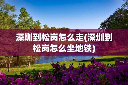 深圳到松岗怎么走(深圳到松岗怎么坐地铁)