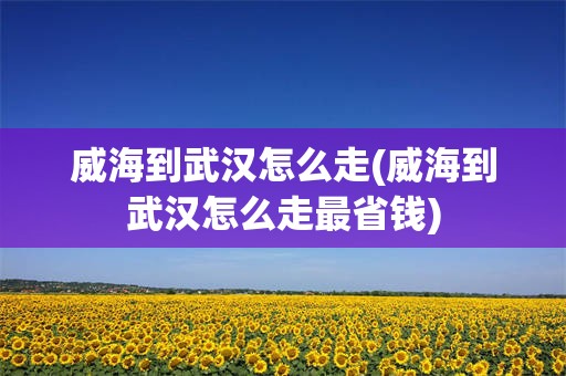 威海到武汉怎么走(威海到武汉怎么走最省钱)