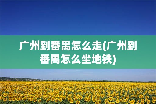 广州到番禺怎么走(广州到番禺怎么坐地铁)