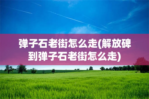弹子石老街怎么走(解放碑到弹子石老街怎么走)