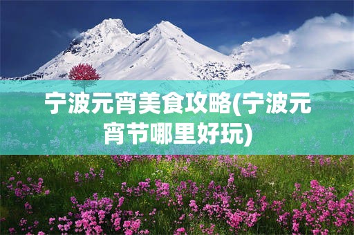 宁波元宵美食攻略(宁波元宵节哪里好玩)