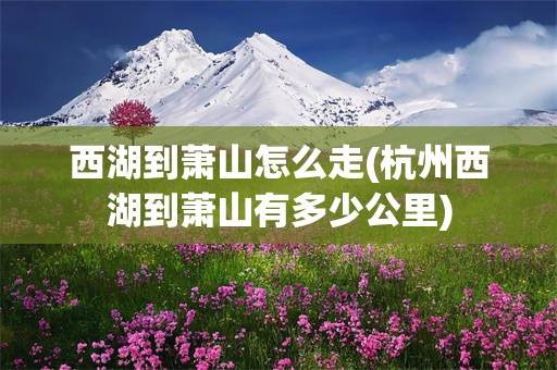 西湖到萧山怎么走(杭州西湖到萧山有多少公里)