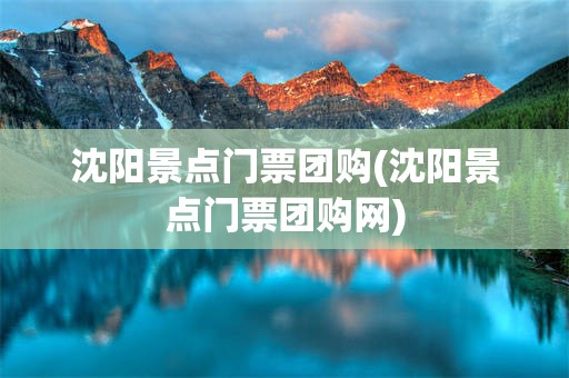 沈阳景点门票团购(沈阳景点门票团购网)