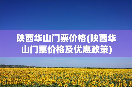 陕西华山门票价格(陕西华山门票价格及优惠政策)