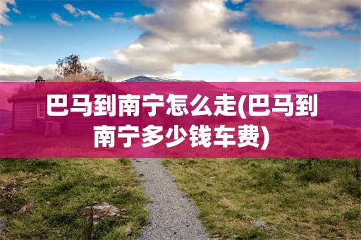 巴马到南宁怎么走(巴马到南宁多少钱车费)