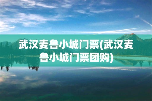 武汉麦鲁小城门票(武汉麦鲁小城门票团购)