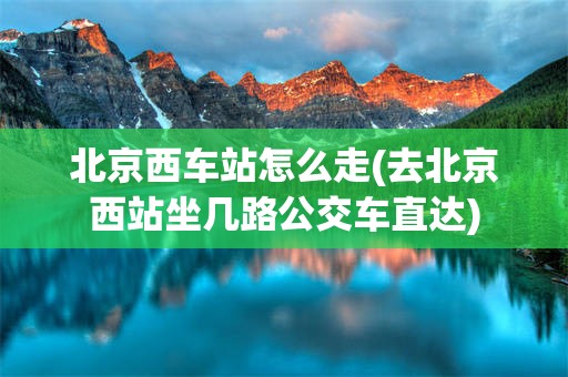 北京西车站怎么走(去北京西站坐几路公交车直达)