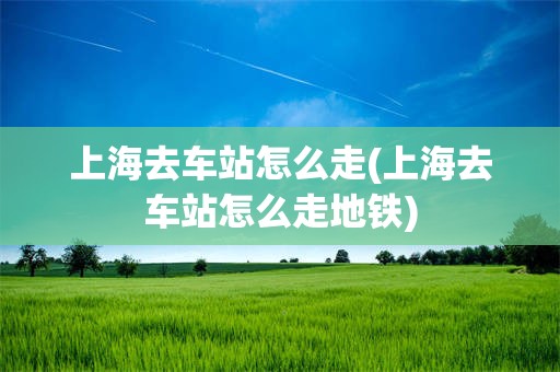 上海去车站怎么走(上海去车站怎么走地铁)