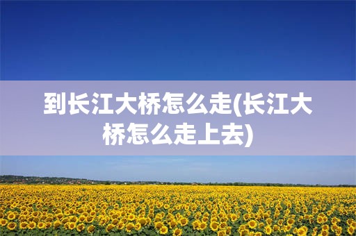 到长江大桥怎么走(长江大桥怎么走上去)