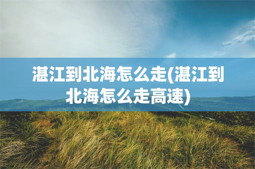 湛江到北海怎么走(湛江到北海怎么走高速)