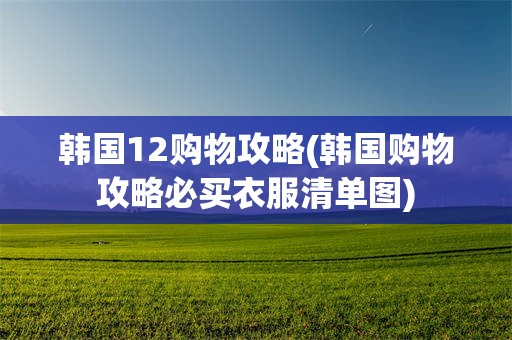 韩国12购物攻略(韩国购物攻略必买衣服清单图)