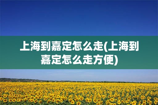 上海到嘉定怎么走(上海到嘉定怎么走方便)