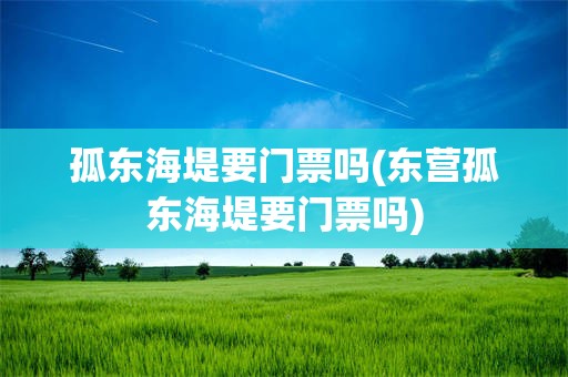 孤东海堤要门票吗(东营孤东海堤要门票吗)