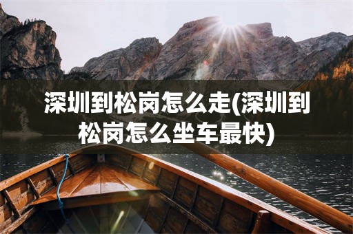深圳到松岗怎么走(深圳到松岗怎么坐车最快)