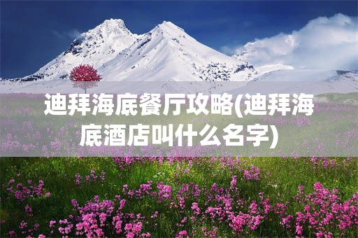 迪拜海底餐厅攻略(迪拜海底酒店叫什么名字)