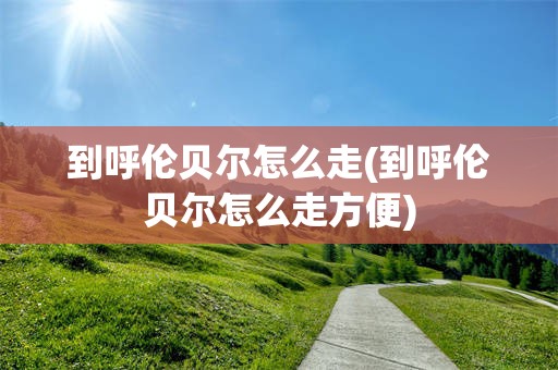 到呼伦贝尔怎么走(到呼伦贝尔怎么走方便)