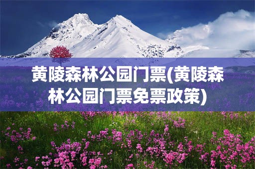 黄陵森林公园门票(黄陵森林公园门票免票政策)