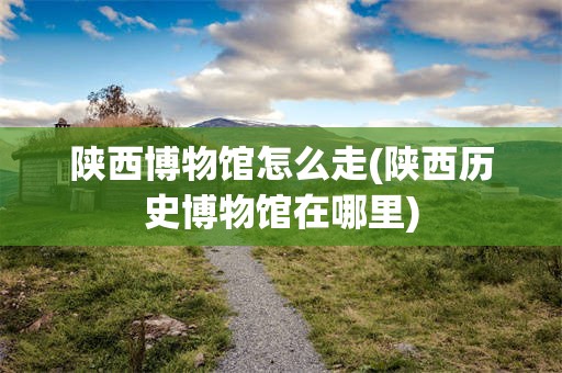 陕西博物馆怎么走(陕西历史博物馆在哪里)