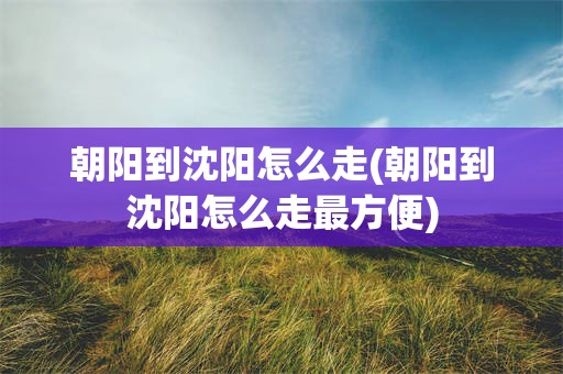 朝阳到沈阳怎么走(朝阳到沈阳怎么走最方便)