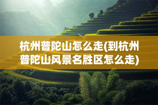 杭州普陀山怎么走(到杭州普陀山风景名胜区怎么走)