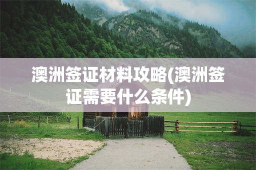 澳洲签证材料攻略(澳洲签证需要什么条件)