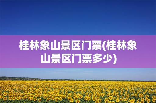桂林象山景区门票(桂林象山景区门票多少)