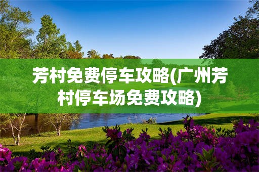 芳村免费停车攻略(广州芳村停车场免费攻略)