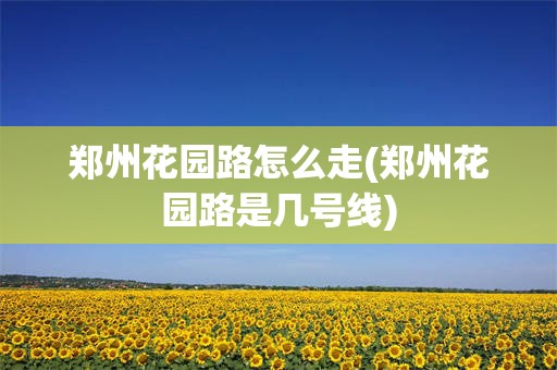 郑州花园路怎么走(郑州花园路是几号线)