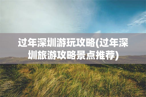 过年深圳游玩攻略(过年深圳旅游攻略景点推荐)