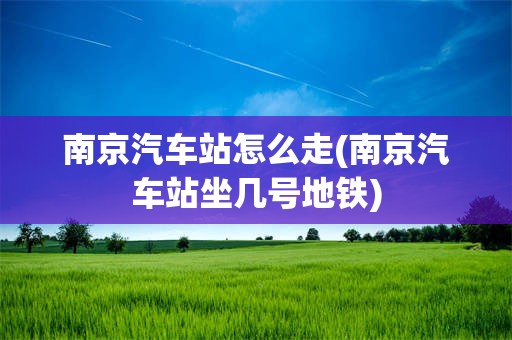 南京汽车站怎么走(南京汽车站坐几号地铁)