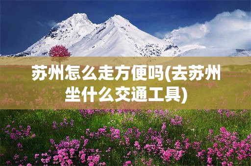 苏州怎么走方便吗(去苏州坐什么交通工具)