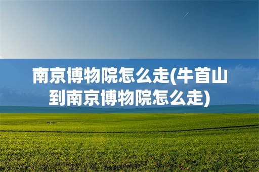 南京博物院怎么走(牛首山到南京博物院怎么走)