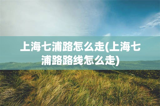 上海七浦路怎么走(上海七浦路路线怎么走)