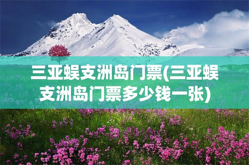 三亚蜈支洲岛门票(三亚蜈支洲岛门票多少钱一张)