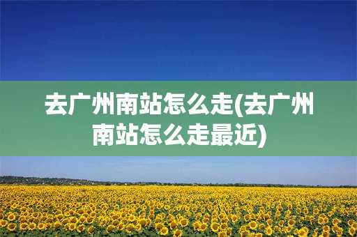 去广州南站怎么走(去广州南站怎么走最近)
