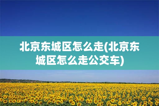 北京东城区怎么走(北京东城区怎么走公交车)