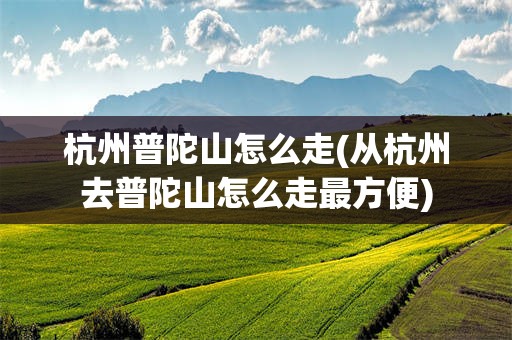 杭州普陀山怎么走(从杭州去普陀山怎么走最方便)