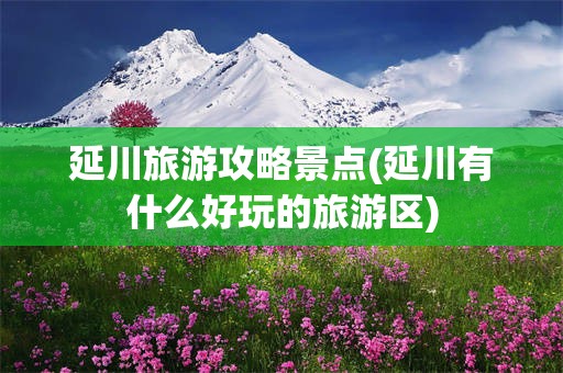 延川旅游攻略景点(延川有什么好玩的旅游区)