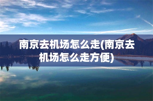 南京去机场怎么走(南京去机场怎么走方便)
