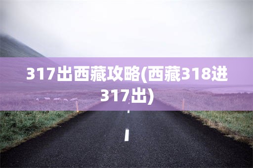 317出西藏攻略(西藏318进317出)