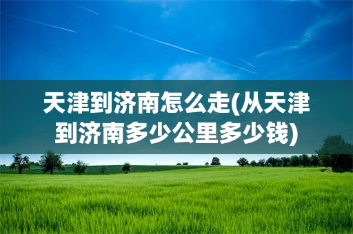 天津到济南怎么走(从天津到济南多少公里多少钱)