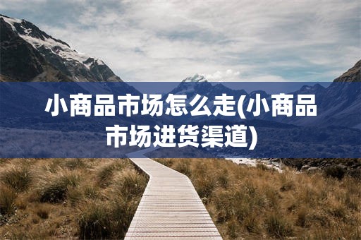 小商品市场怎么走(小商品市场进货渠道)