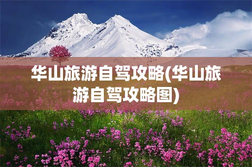 华山旅游自驾攻略(华山旅游自驾攻略图)