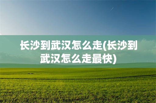 长沙到武汉怎么走(长沙到武汉怎么走最快)