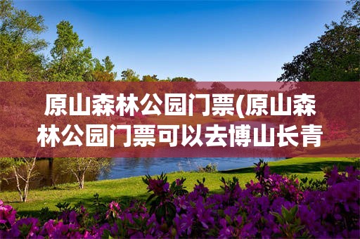 原山森林公园门票(原山森林公园门票可以去博山长青林吗)
