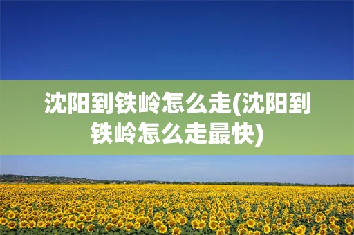 沈阳到铁岭怎么走(沈阳到铁岭怎么走最快)