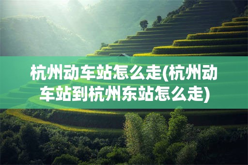 杭州动车站怎么走(杭州动车站到杭州东站怎么走)