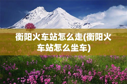 衡阳火车站怎么走(衡阳火车站怎么坐车)